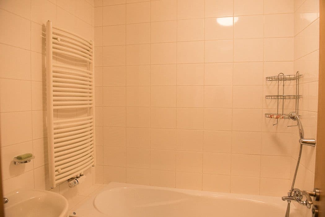 1 bedroom with open-plan kitchen flat to rent, 53 m², Jeřabinová, Prague, Prague 1 bedroom with open-plan kitchen flat to rent, 53 m², Jeřabinová, Prague, Prague