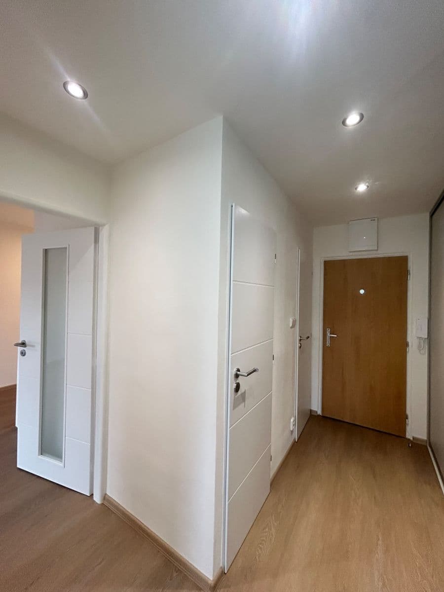 1 bedroom with open-plan kitchen flat to rent, 40 m², Teplická, Prague, Prague 1 bedroom with open-plan kitchen flat to rent, 40 m², Teplická, Prague, Prague