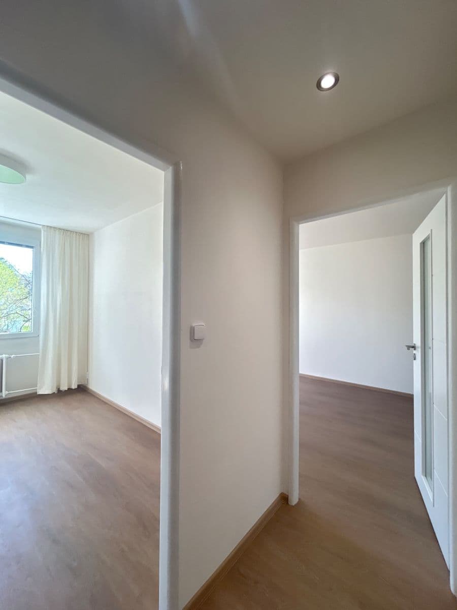 1 bedroom with open-plan kitchen flat to rent, 40 m², Teplická, Prague, Prague 1 bedroom with open-plan kitchen flat to rent, 40 m², Teplická, Prague, Prague