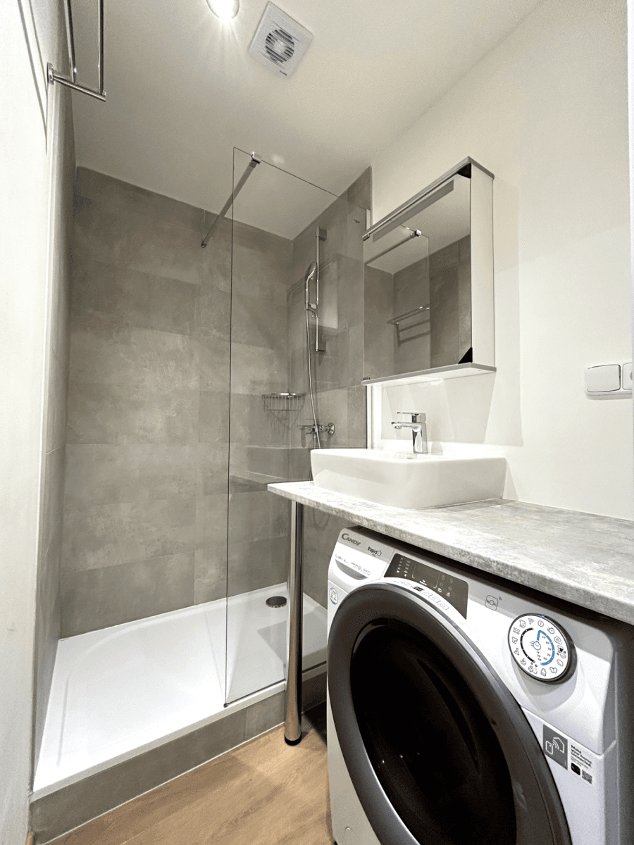 1 bedroom with open-plan kitchen flat to rent, 40 m², Teplická, Prague, Prague 1 bedroom with open-plan kitchen flat to rent, 40 m², Teplická, Prague, Prague