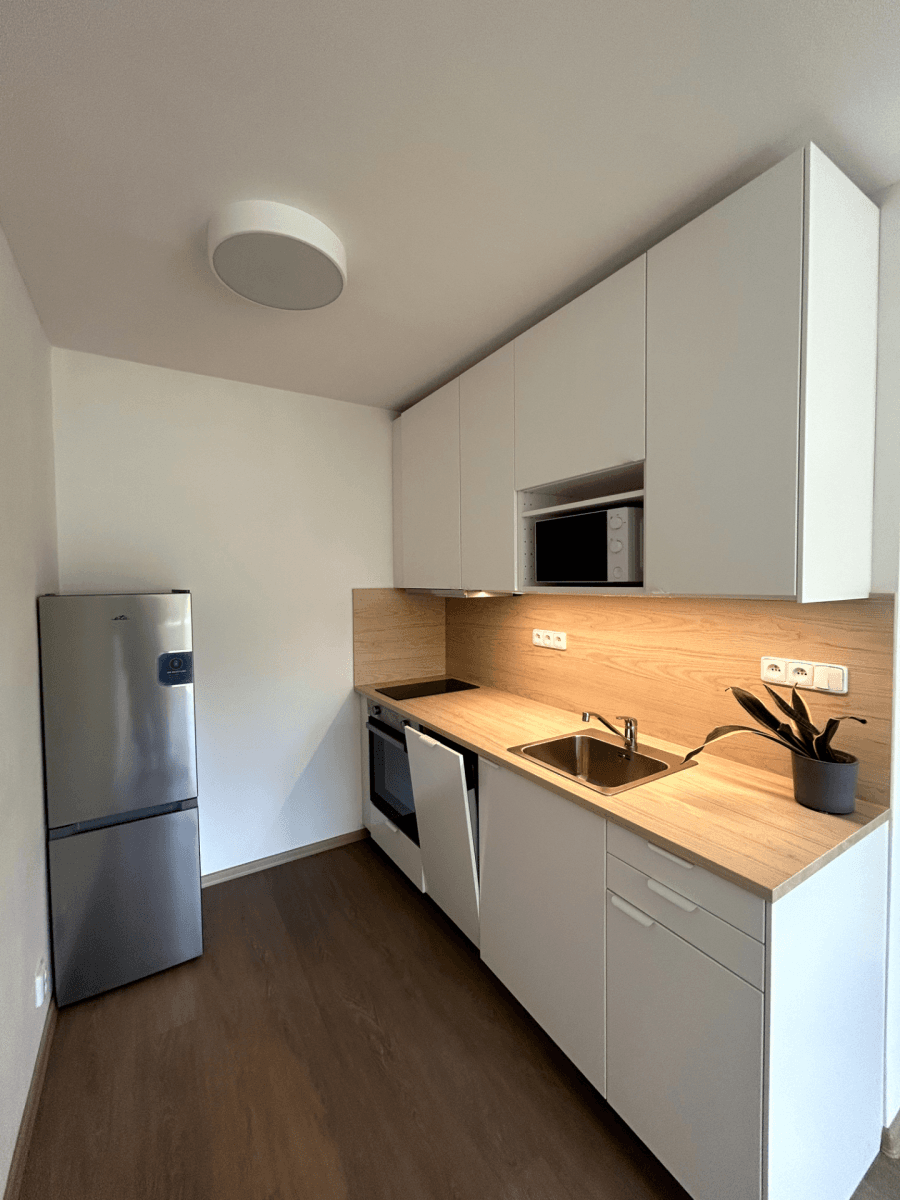 1 bedroom with open-plan kitchen flat to rent, 40 m², Teplická, Prague, Prague 1 bedroom with open-plan kitchen flat to rent, 40 m², Teplická, Prague, Prague
