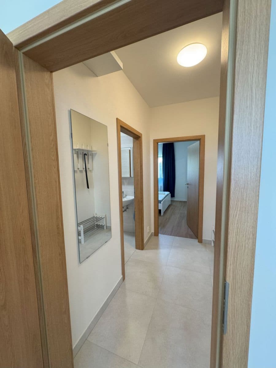 1 bedroom with open-plan kitchen flat to rent, 55 m², Hřímalého, Plzeň, Plzeňský Region 1 bedroom with open-plan kitchen flat to rent, 55 m², Hřímalého, Plzeň, Plzeňský Region