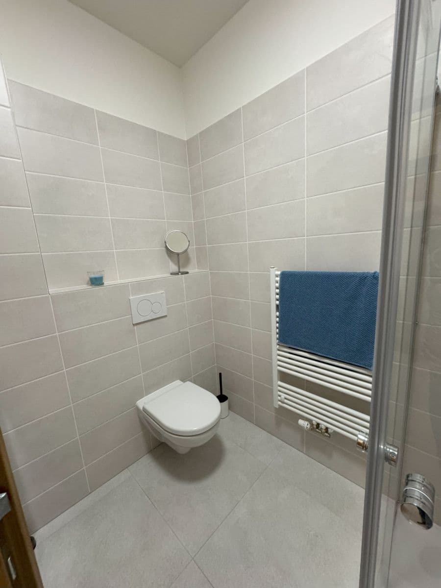 1 bedroom with open-plan kitchen flat to rent, 55 m², Hřímalého, Plzeň, Plzeňský Region 1 bedroom with open-plan kitchen flat to rent, 55 m², Hřímalého, Plzeň, Plzeňský Region