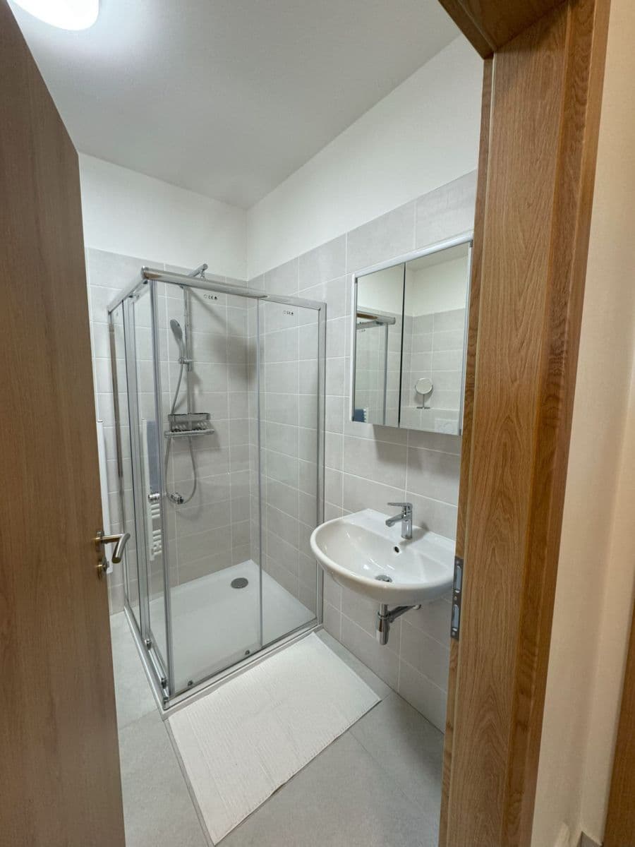 1 bedroom with open-plan kitchen flat to rent, 55 m², Hřímalého, Plzeň, Plzeňský Region 1 bedroom with open-plan kitchen flat to rent, 55 m², Hřímalého, Plzeň, Plzeňský Region