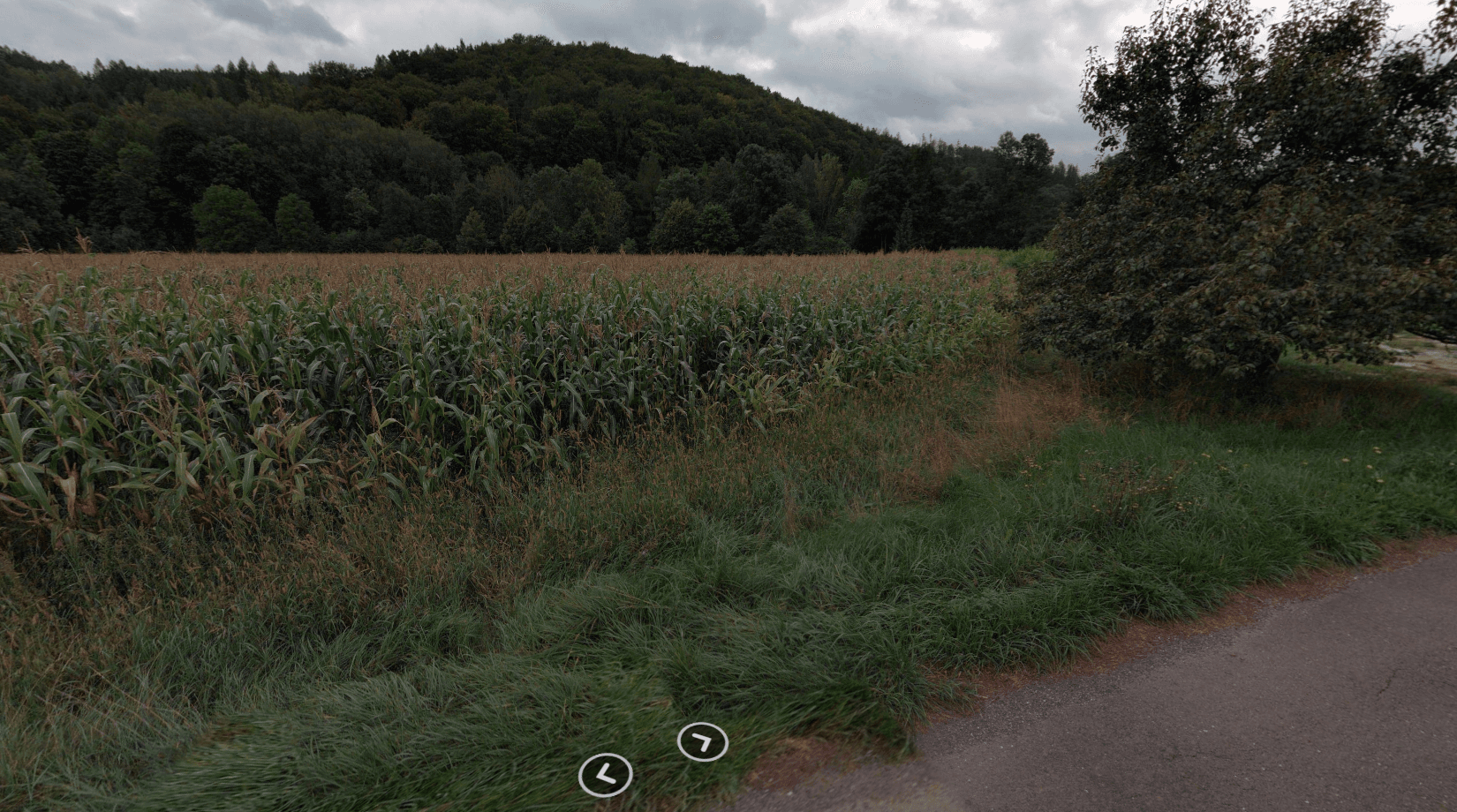 plot for sale, 13,396 m², Bohdíkov, Olomoucký Region plot for sale, 13,396 m², Bohdíkov, Olomoucký Region