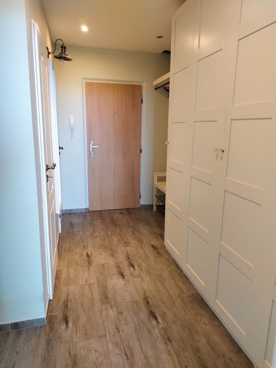 1 bedroom with open-plan kitchen flat for sale, 43 m², Kurkova, Prague, Prague 1 bedroom with open-plan kitchen flat for sale, 43 m², Kurkova, Prague, Prague