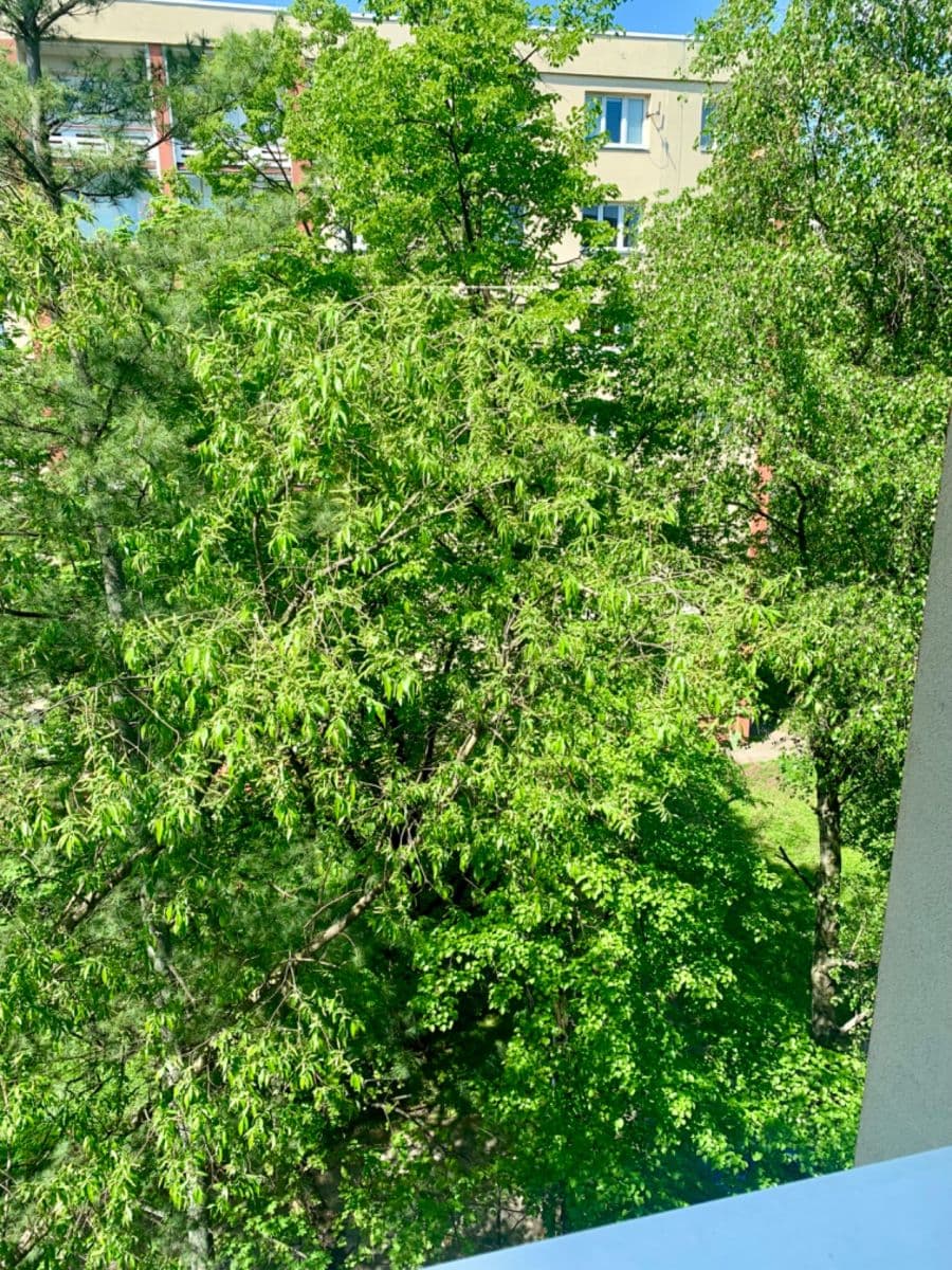 2 bedroom flat to rent, 56 m², Kamerunská, Prague, Prague 2 bedroom flat to rent, 56 m², Kamerunská, Prague, Prague