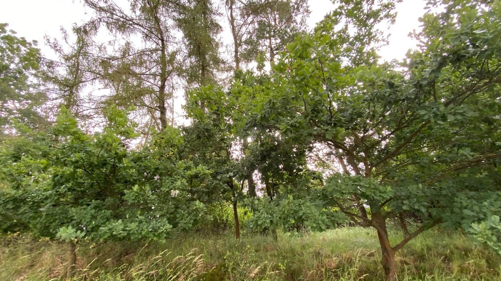 plot for sale, 2,104 m², Maršovice, Středočeský Region plot for sale, 2,104 m², Maršovice, Středočeský Region