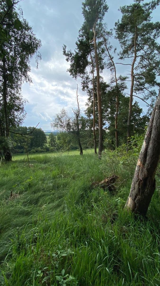 plot for sale, 2,104 m², Maršovice, Středočeský Region plot for sale, 2,104 m², Maršovice, Středočeský Region