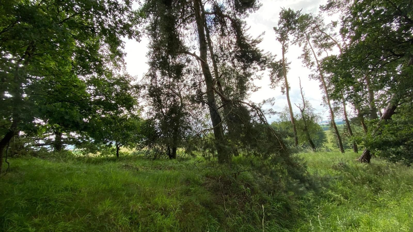 plot for sale, 2,104 m², Maršovice, Středočeský Region plot for sale, 2,104 m², Maršovice, Středočeský Region