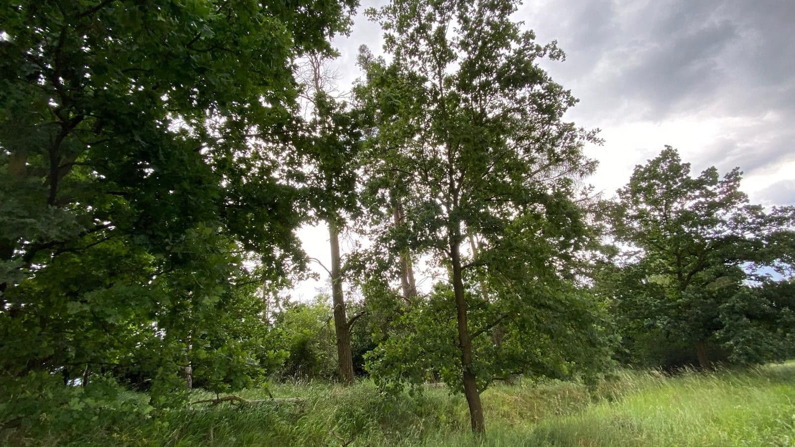 plot for sale, 2,104 m², Maršovice, Středočeský Region plot for sale, 2,104 m², Maršovice, Středočeský Region