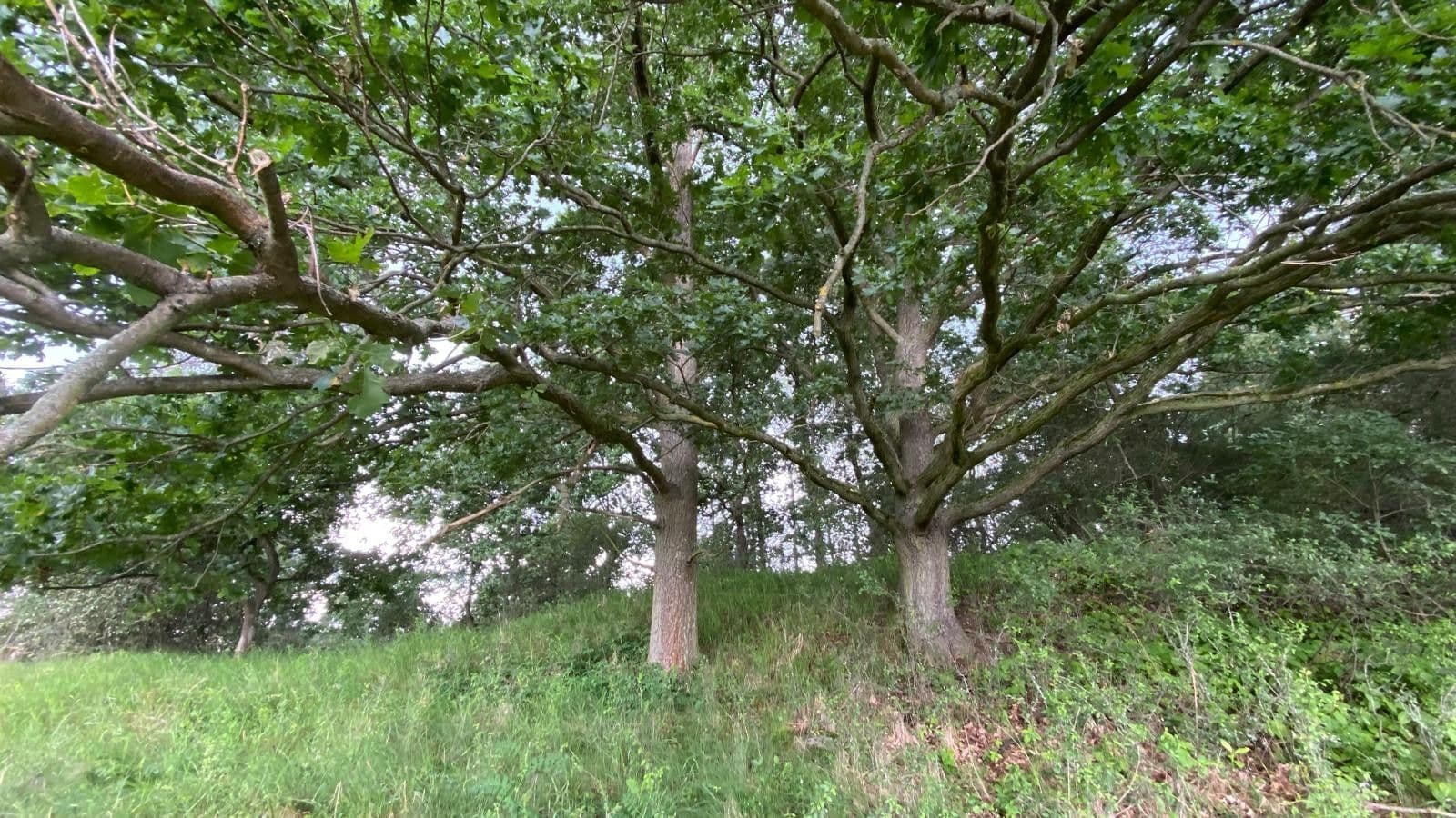 plot for sale, 2,104 m², Maršovice, Středočeský Region plot for sale, 2,104 m², Maršovice, Středočeský Region