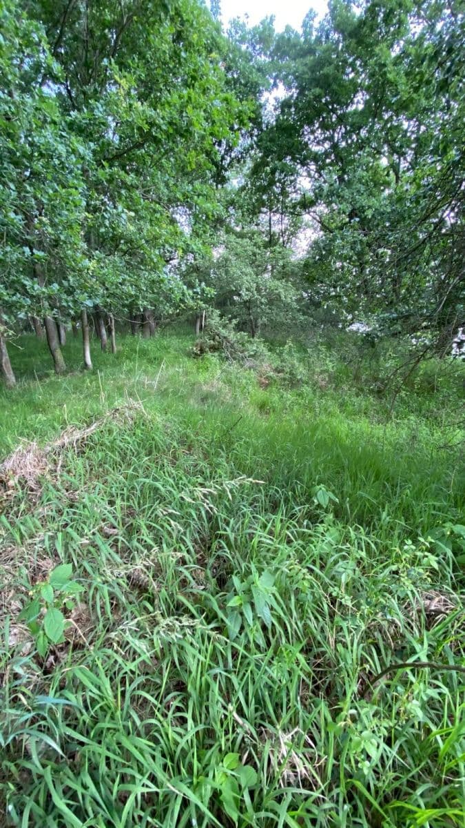 plot for sale, 2,104 m², Maršovice, Středočeský Region plot for sale, 2,104 m², Maršovice, Středočeský Region