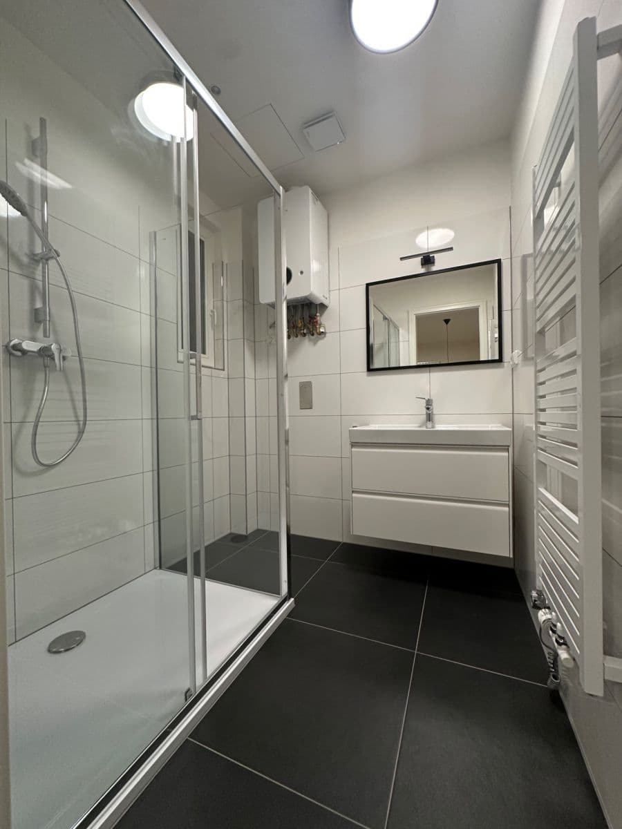 1 bedroom with open-plan kitchen flat to rent, 51 m², Libická, Prague, Prague 1 bedroom with open-plan kitchen flat to rent, 51 m², Libická, Prague, Prague