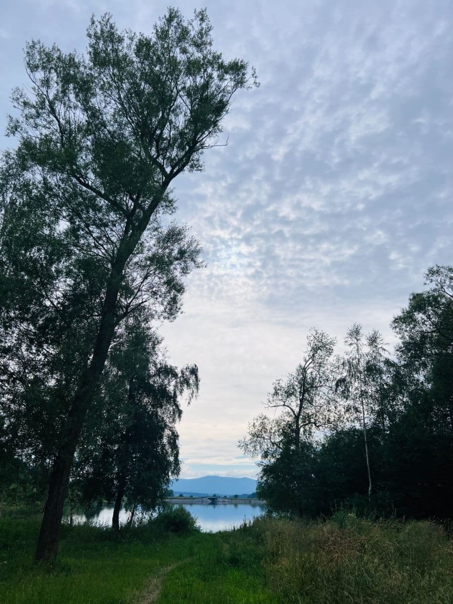 Studio flat for sale, 19 m², Černá v Pošumaví, Jihočeský Region Studio flat for sale, 19 m², Černá v Pošumaví, Jihočeský Region