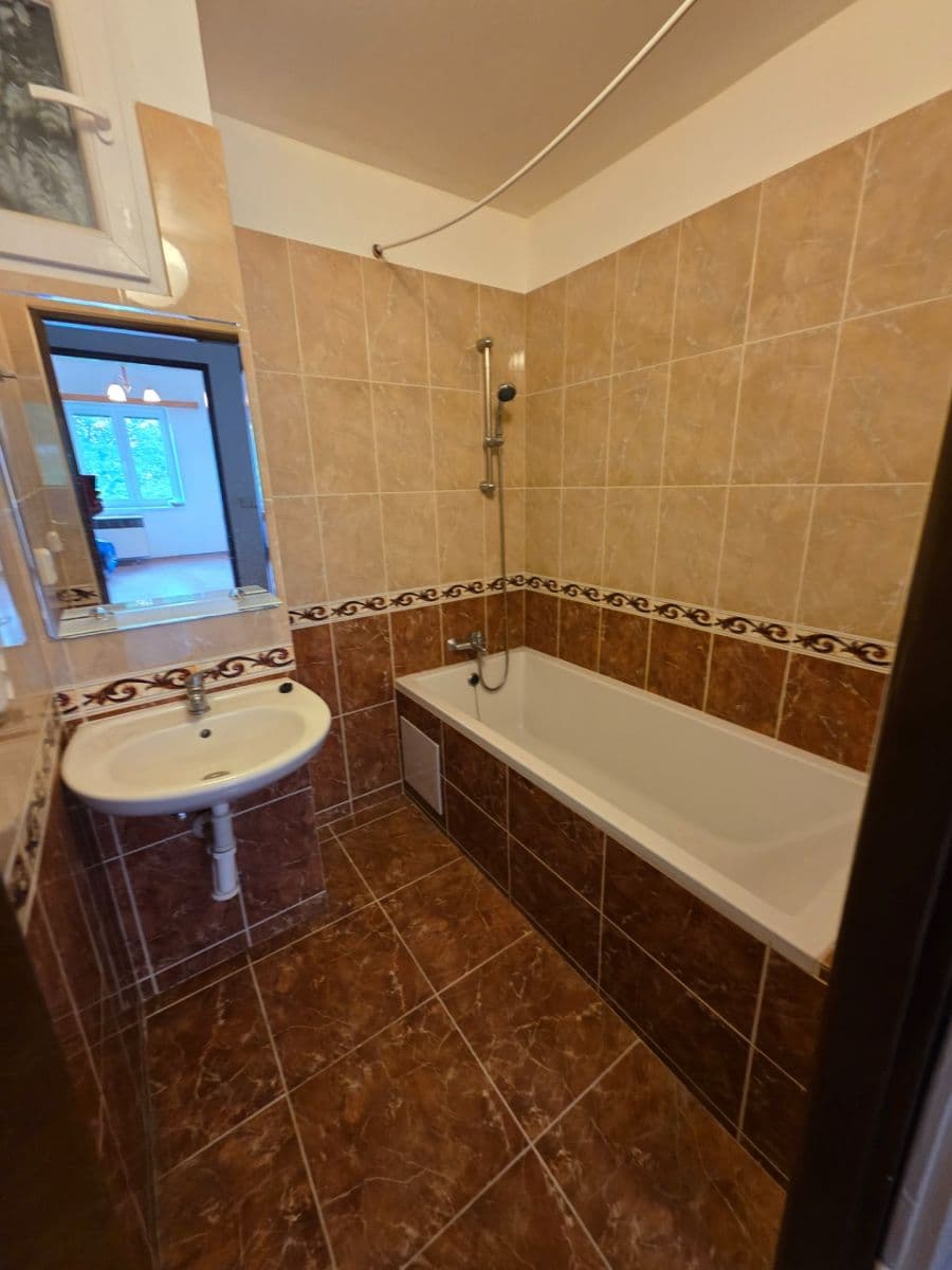 1 bedroom with open-plan kitchen flat to rent, 55 m², Zelinářská, Prague, Prague 1 bedroom with open-plan kitchen flat to rent, 55 m², Zelinářská, Prague, Prague