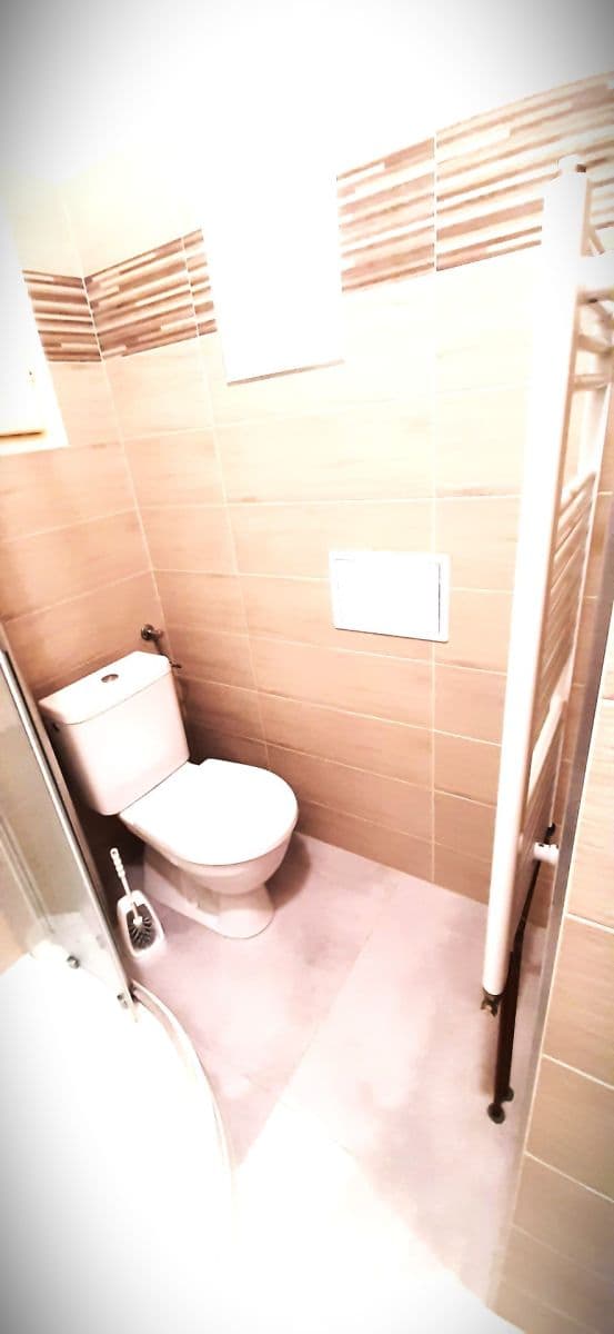 1 bedroom with open-plan kitchen flat to rent, 48 m², náměstí Dr. Václava Holého, Prague, Prague 1 bedroom with open-plan kitchen flat to rent, 48 m², náměstí Dr. Václava Holého, Prague, Prague