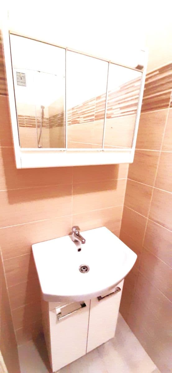 1 bedroom with open-plan kitchen flat to rent, 48 m², náměstí Dr. Václava Holého, Prague, Prague 1 bedroom with open-plan kitchen flat to rent, 48 m², náměstí Dr. Václava Holého, Prague, Prague