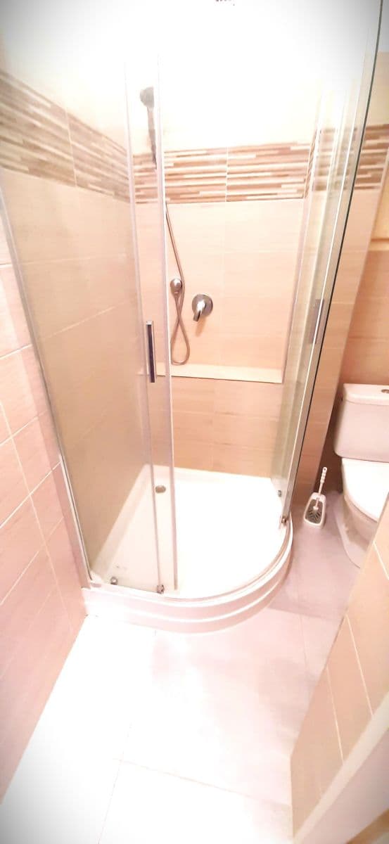 1 bedroom with open-plan kitchen flat to rent, 48 m², náměstí Dr. Václava Holého, Prague, Prague 1 bedroom with open-plan kitchen flat to rent, 48 m², náměstí Dr. Václava Holého, Prague, Prague