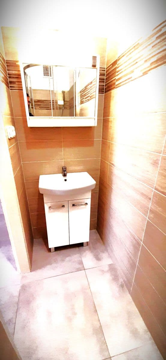 1 bedroom with open-plan kitchen flat to rent, 48 m², náměstí Dr. Václava Holého, Prague, Prague 1 bedroom with open-plan kitchen flat to rent, 48 m², náměstí Dr. Václava Holého, Prague, Prague