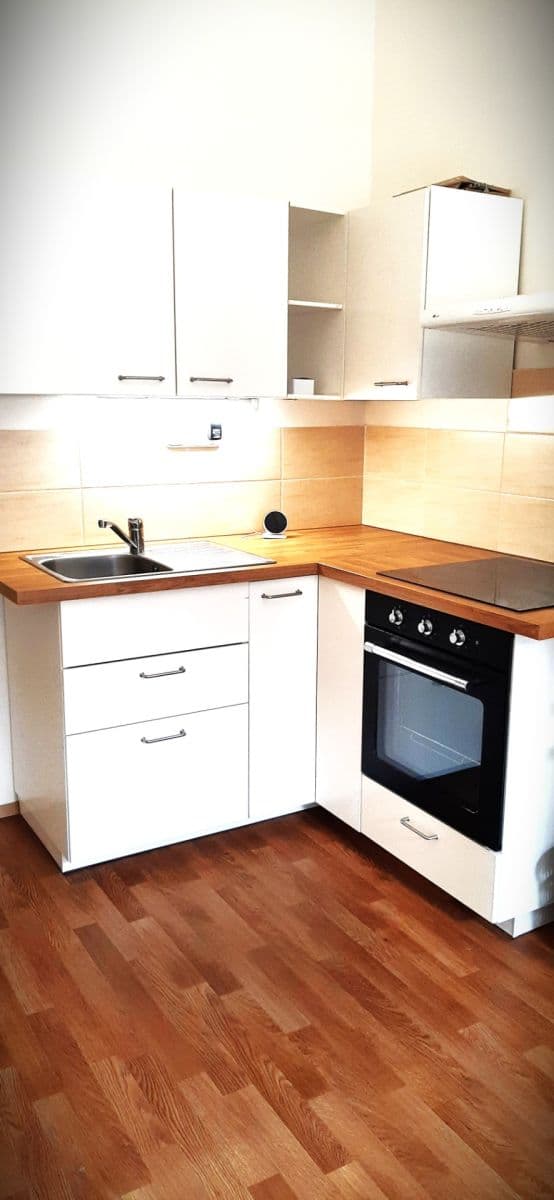 1 bedroom with open-plan kitchen flat to rent, 48 m², náměstí Dr. Václava Holého, Prague, Prague 1 bedroom with open-plan kitchen flat to rent, 48 m², náměstí Dr. Václava Holého, Prague, Prague