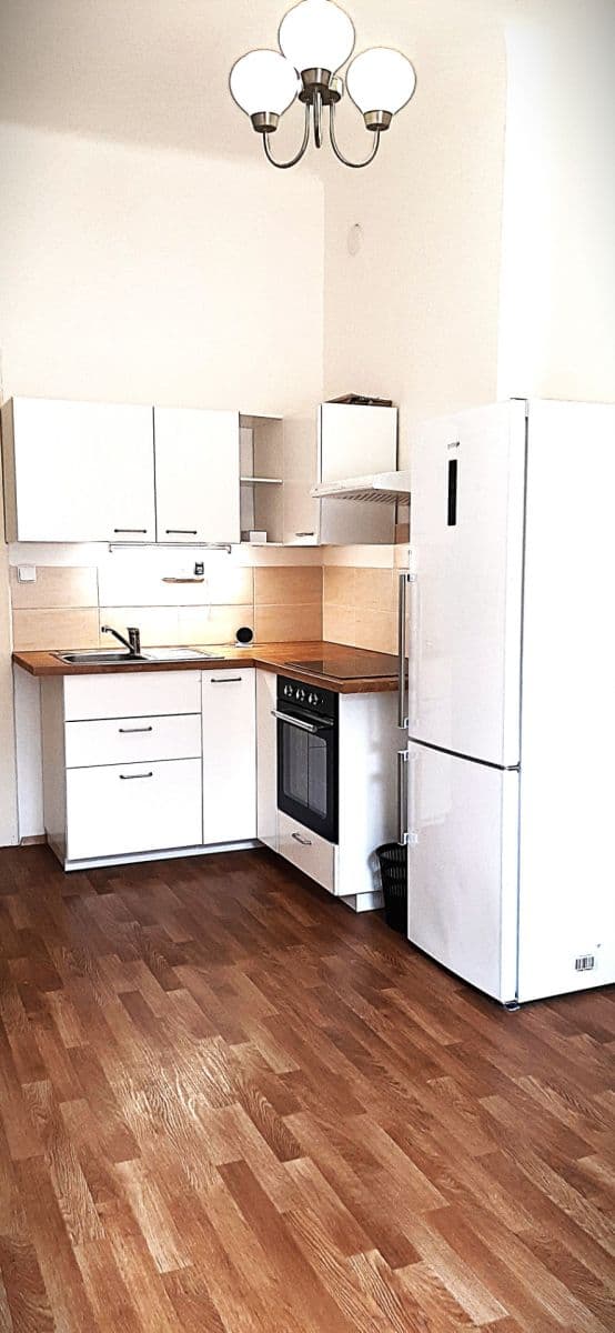 1 bedroom with open-plan kitchen flat to rent, 48 m², náměstí Dr. Václava Holého, Prague, Prague 1 bedroom with open-plan kitchen flat to rent, 48 m², náměstí Dr. Václava Holého, Prague, Prague