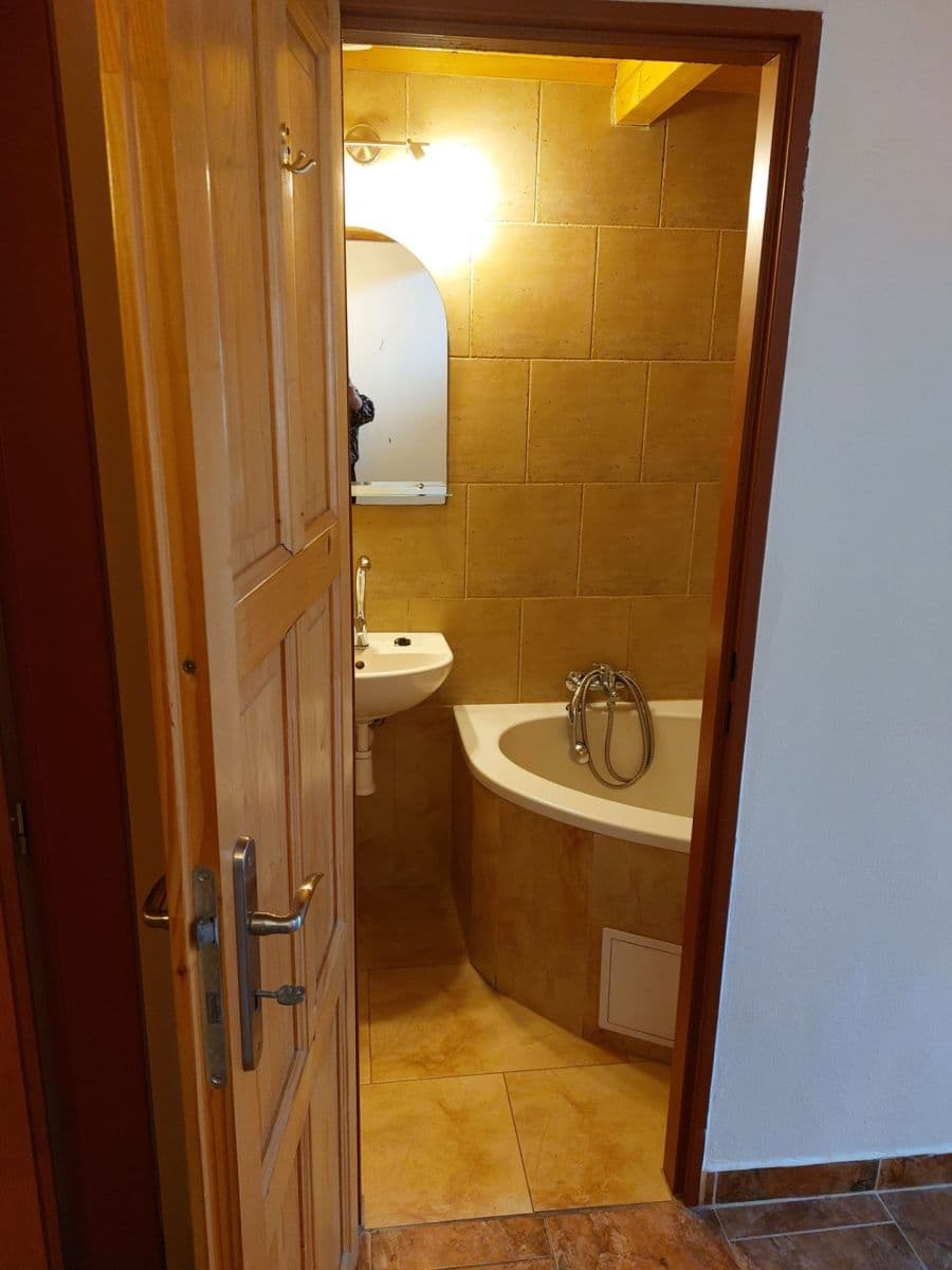 1 bedroom with open-plan kitchen flat to rent, 56 m², Plzeňská, Prague, Prague 1 bedroom with open-plan kitchen flat to rent, 56 m², Plzeňská, Prague, Prague