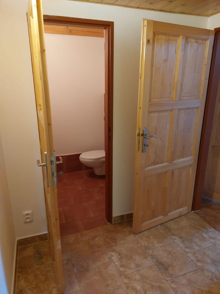 1 bedroom with open-plan kitchen flat to rent, 56 m², Plzeňská, Prague, Prague 1 bedroom with open-plan kitchen flat to rent, 56 m², Plzeňská, Prague, Prague