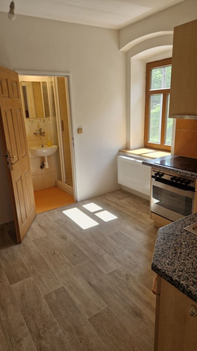 1 bedroom flat to rent, 45 m², Dubá, Liberecký Region 1 bedroom flat to rent, 45 m², Dubá, Liberecký Region