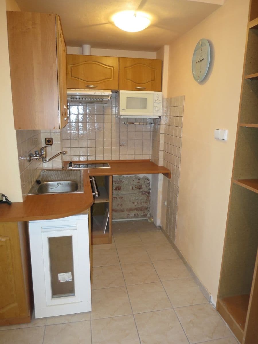 1 bedroom with open-plan kitchen flat to rent, 42 m², U Papírny, Prague, Prague 1 bedroom with open-plan kitchen flat to rent, 42 m², U Papírny, Prague, Prague