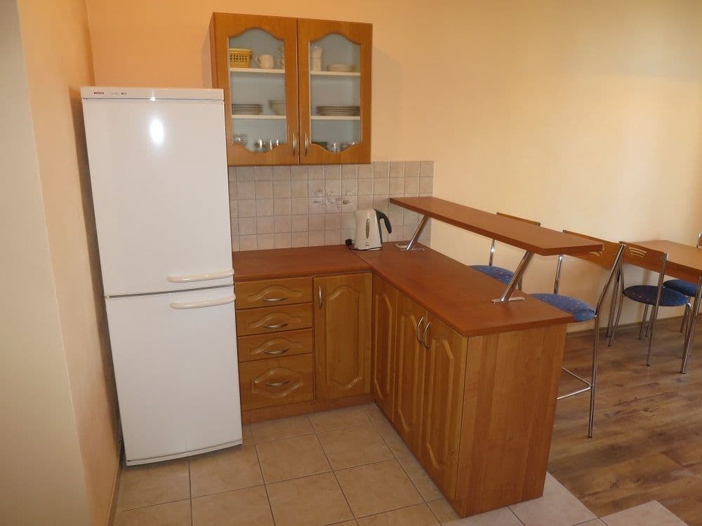 1 bedroom with open-plan kitchen flat to rent, 42 m², U Papírny, Prague, Prague 1 bedroom with open-plan kitchen flat to rent, 42 m², U Papírny, Prague, Prague