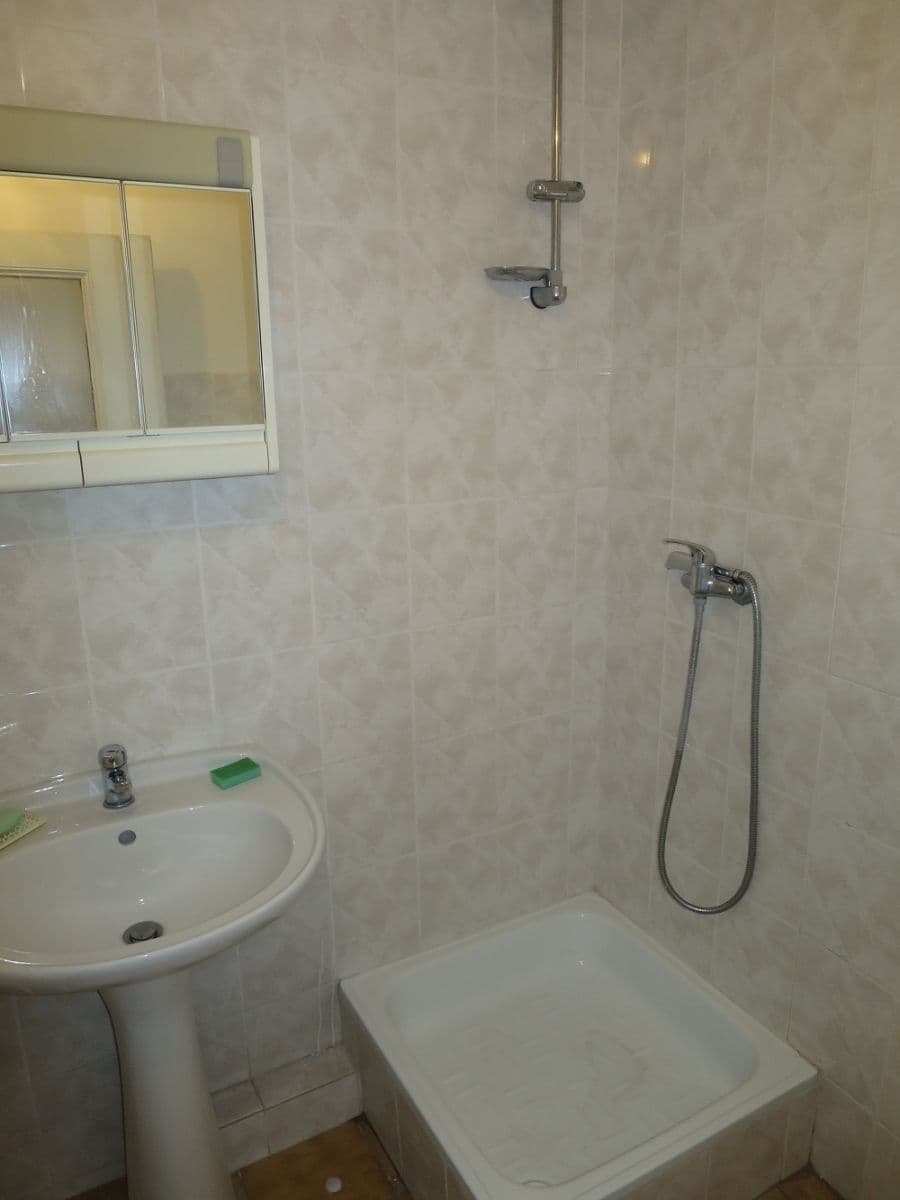 1 bedroom with open-plan kitchen flat to rent, 42 m², U Papírny, Prague, Prague 1 bedroom with open-plan kitchen flat to rent, 42 m², U Papírny, Prague, Prague