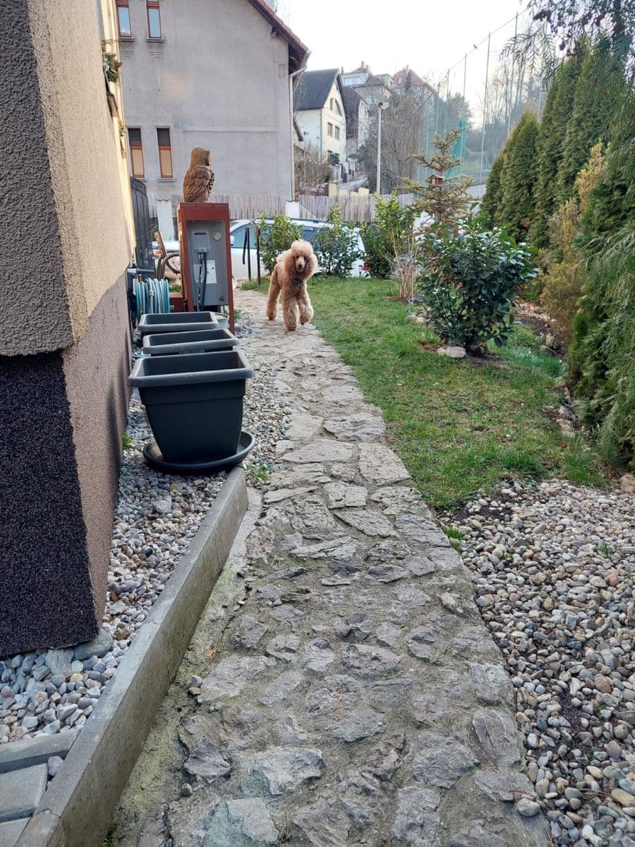 house for sale, 250 m², Pod Žvahovem, Prague, Prague house for sale, 250 m², Pod Žvahovem, Prague, Prague