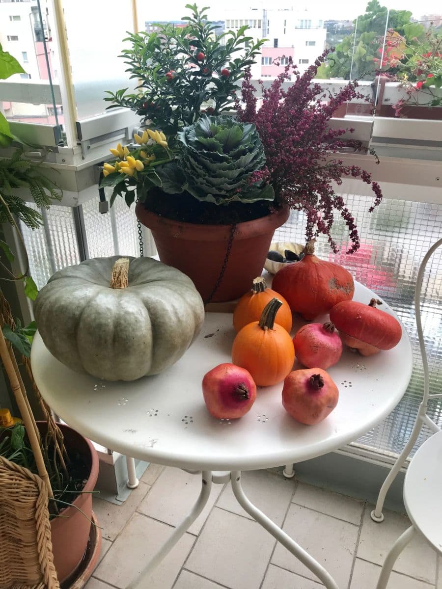 2 bedroom with open-plan kitchen flat for sale, 77 m², Volutová, Prague, Prague 2 bedroom with open-plan kitchen flat for sale, 77 m², Volutová, Prague, Prague