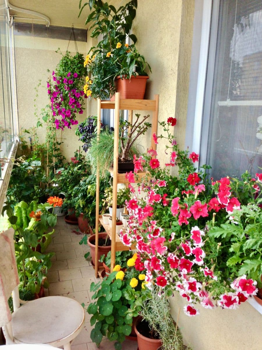 2 bedroom with open-plan kitchen flat for sale, 77 m², Volutová, Prague, Prague 2 bedroom with open-plan kitchen flat for sale, 77 m², Volutová, Prague, Prague