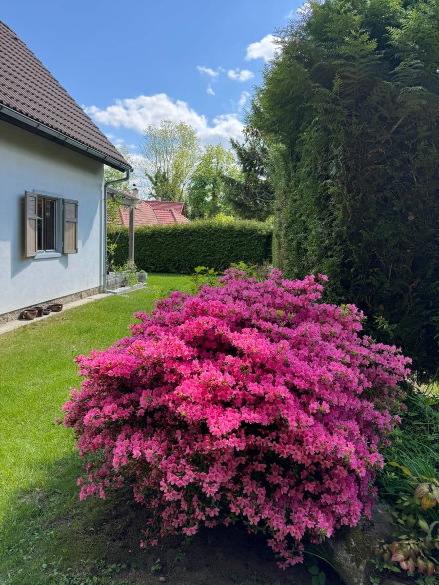 recreational property for sale, 831 m², Borotín, Jihočeský Region recreational property for sale, 831 m², Borotín, Jihočeský Region