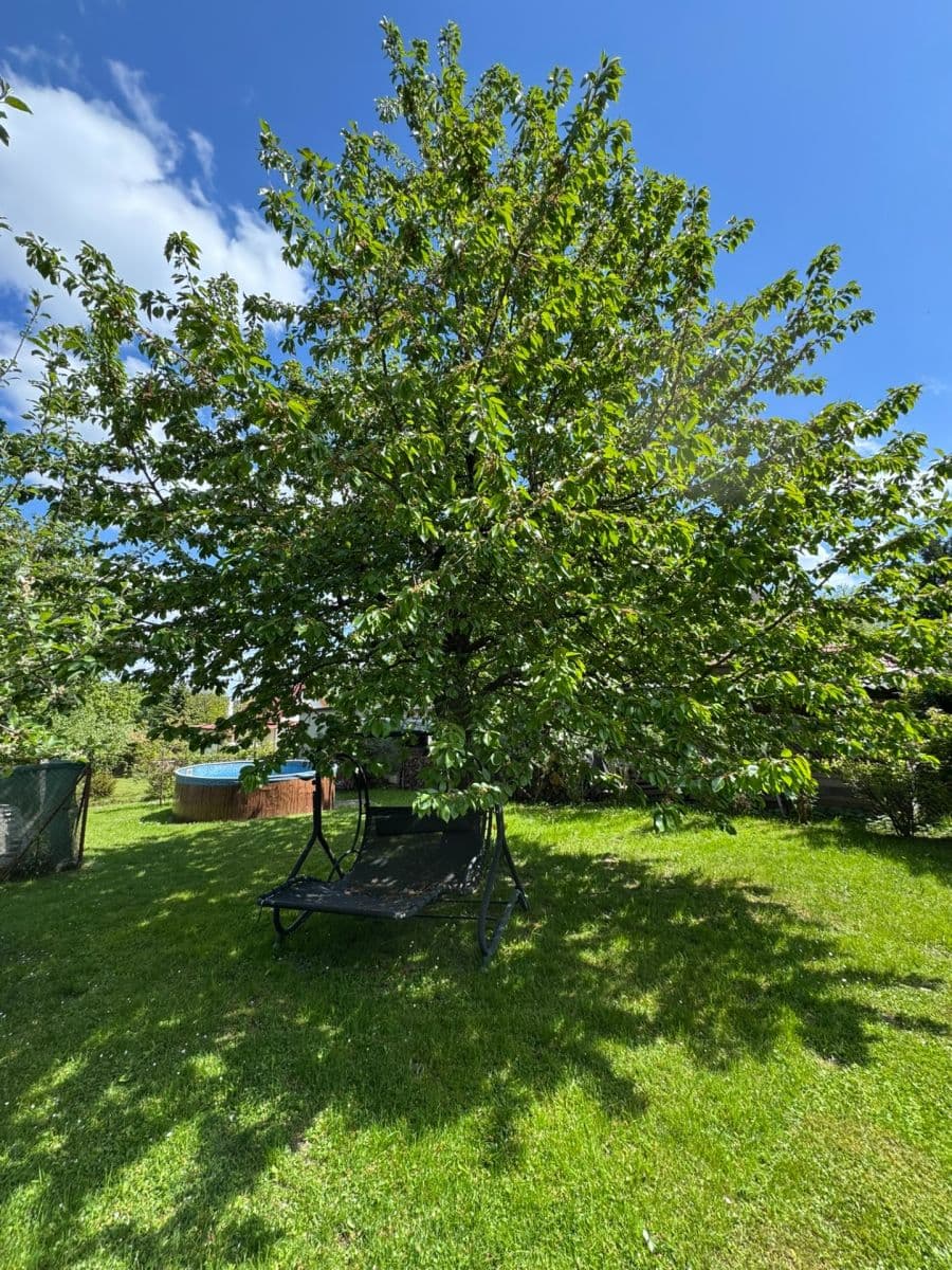 recreational property for sale, 831 m², Borotín, Jihočeský Region recreational property for sale, 831 m², Borotín, Jihočeský Region