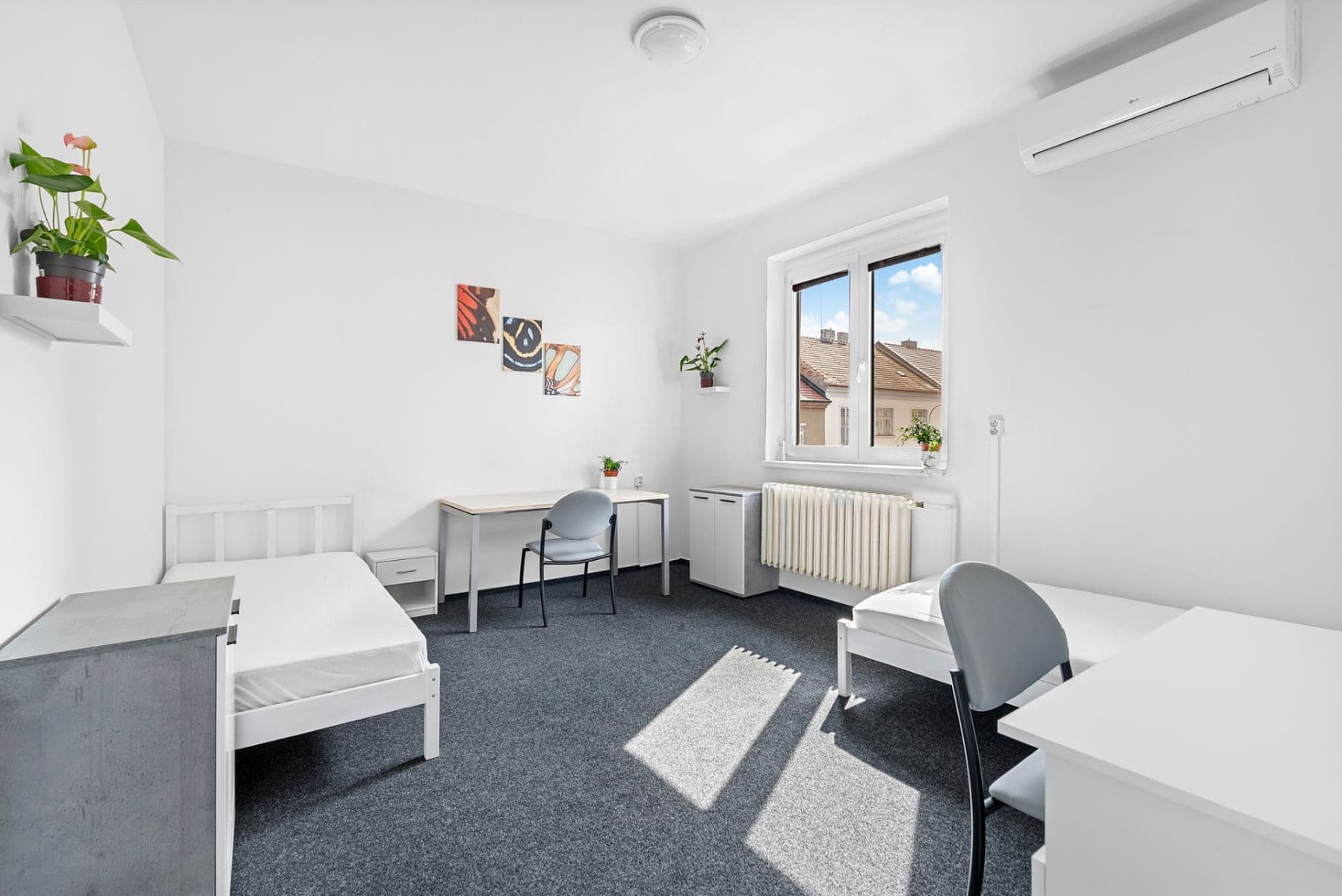 flat to rent, 18 m², Jelínkova, Brno, Jihomoravský Region flat to rent, 18 m², Jelínkova, Brno, Jihomoravský Region