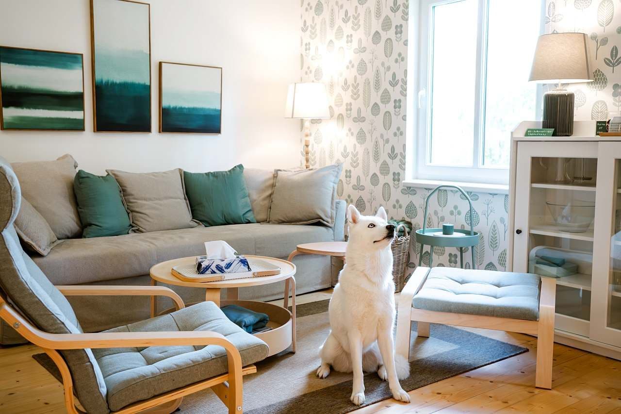 recreational property to rent, 0 m², Křečovice, Středočeský Region recreational property to rent, 0 m², Křečovice, Středočeský Region