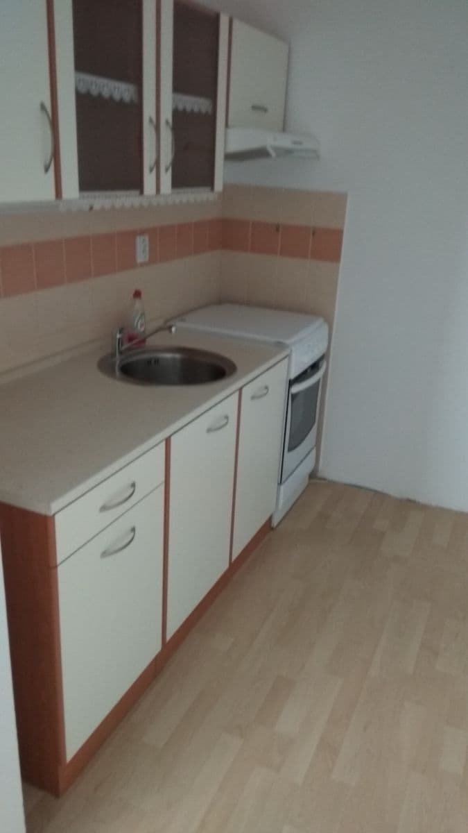1 bedroom with open-plan kitchen flat to rent, 40 m², Popelákova, Brno, Jihomoravský Region 1 bedroom with open-plan kitchen flat to rent, 40 m², Popelákova, Brno, Jihomoravský Region