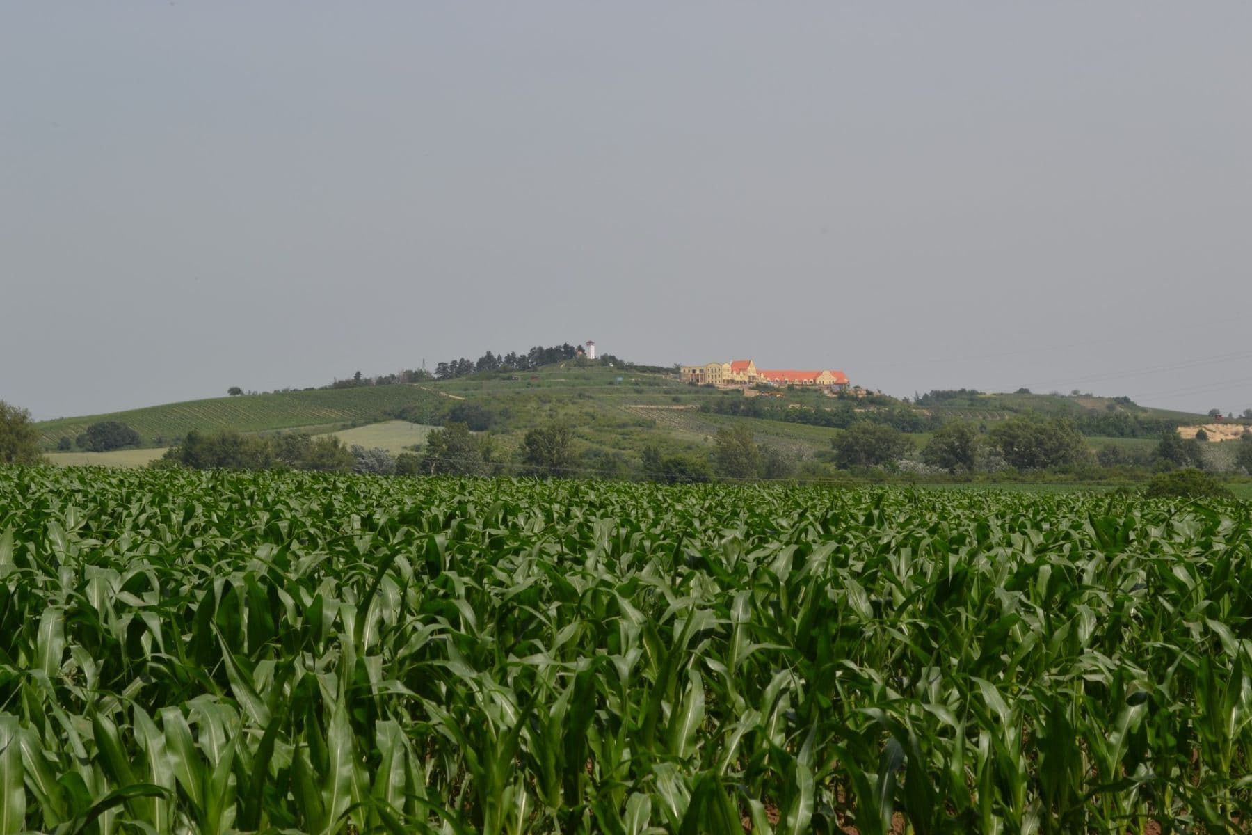 recreational property for sale, 200 m², Přítluky, Jihomoravský Region recreational property for sale, 200 m², Přítluky, Jihomoravský Region