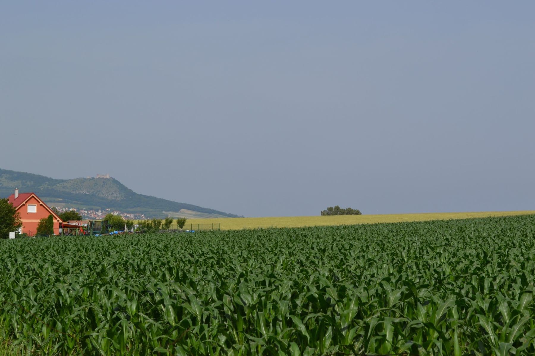 recreational property for sale, 200 m², Přítluky, Jihomoravský Region recreational property for sale, 200 m², Přítluky, Jihomoravský Region