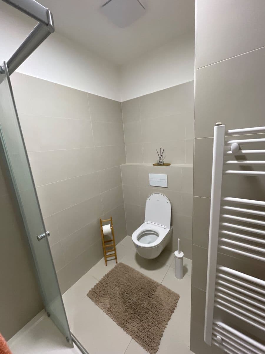 Studio flat to rent, 34 m², Eduarda Hamburgera, Olomouc, Olomoucký Region Studio flat to rent, 34 m², Eduarda Hamburgera, Olomouc, Olomoucký Region