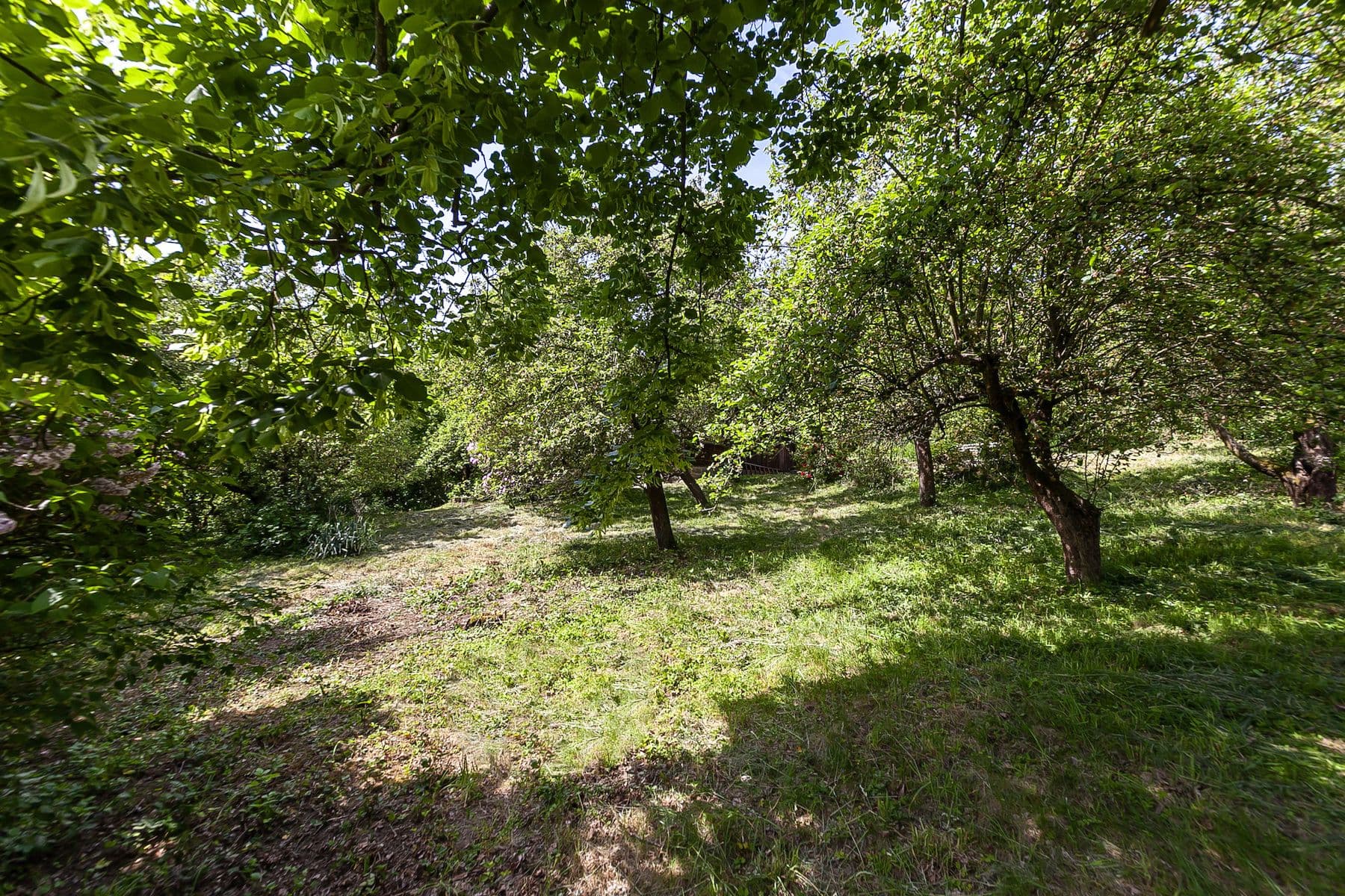 plot for sale, 1,552 m², Na Vinicích, Davle, Středočeský Region plot for sale, 1,552 m², Na Vinicích, Davle, Středočeský Region