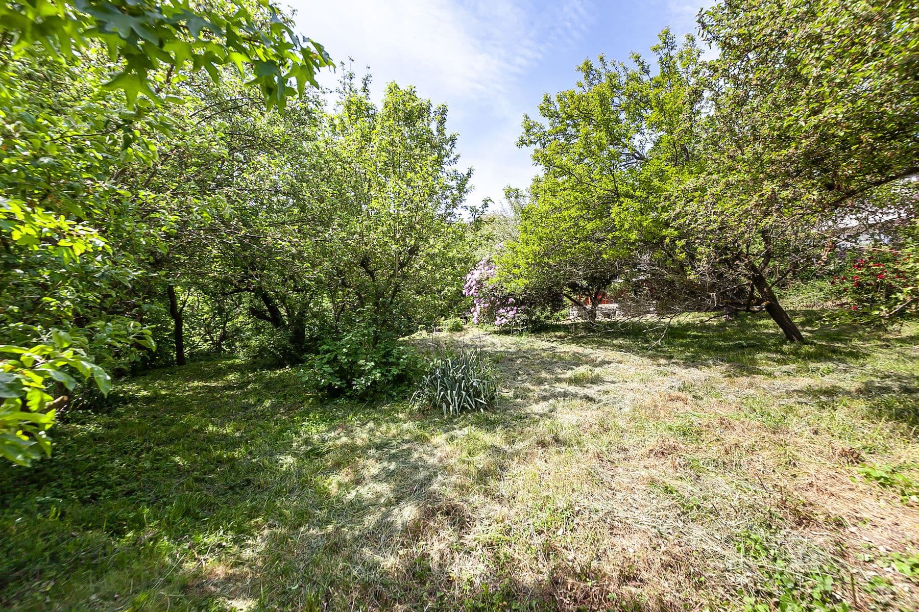 plot for sale, 1,552 m², Na Vinicích, Davle, Středočeský Region plot for sale, 1,552 m², Na Vinicích, Davle, Středočeský Region