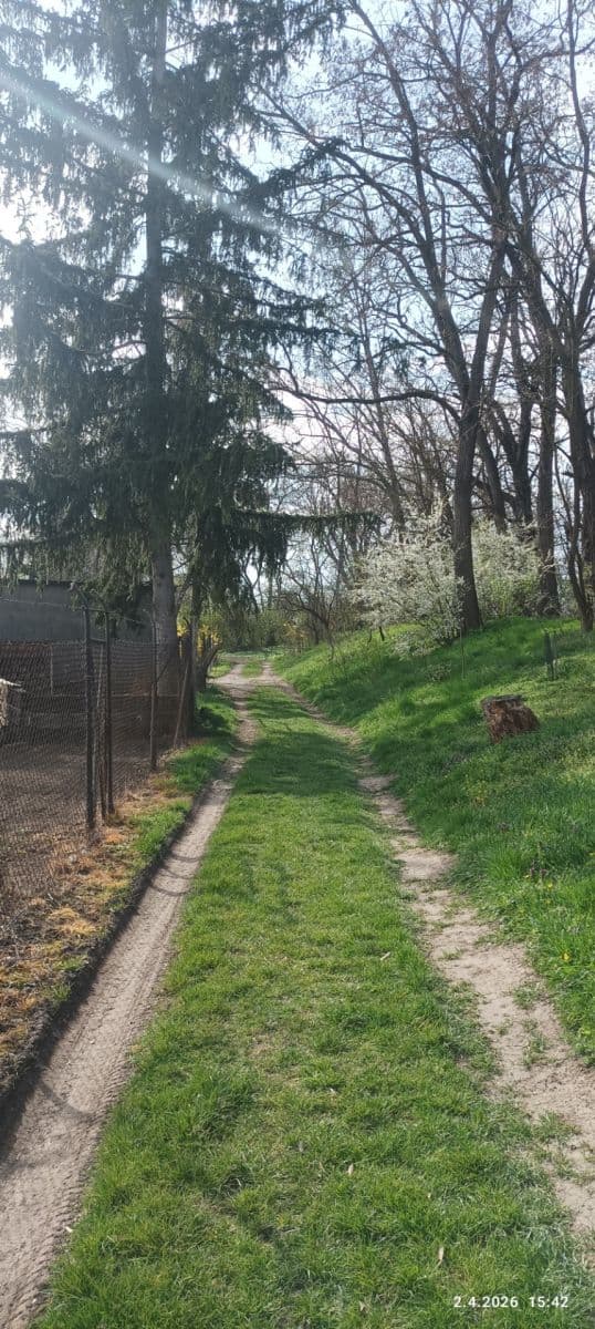 plot to rent, 420 m², Sokolnice, Jihomoravský Region plot to rent, 420 m², Sokolnice, Jihomoravský Region