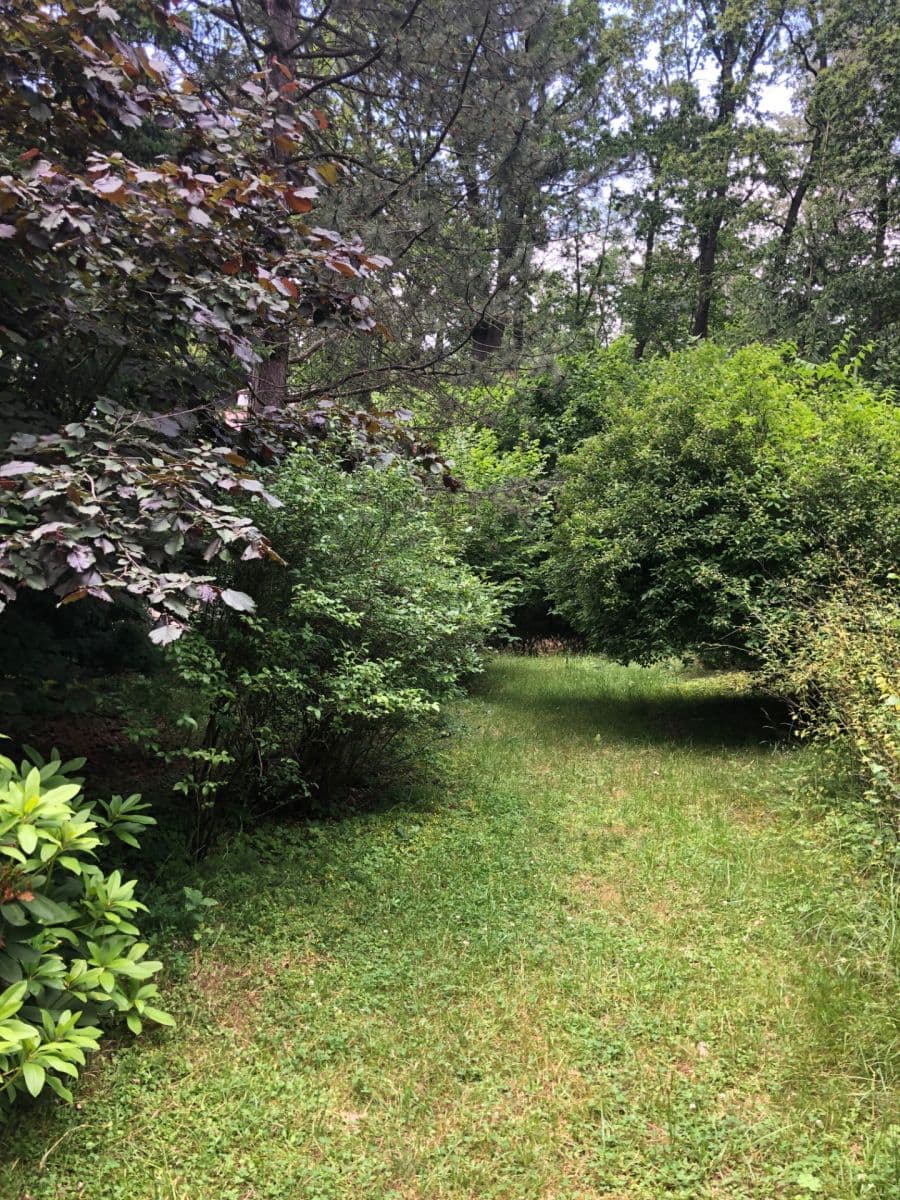 recreational property for sale, 3,618 m², Votice, Středočeský Region recreational property for sale, 3,618 m², Votice, Středočeský Region