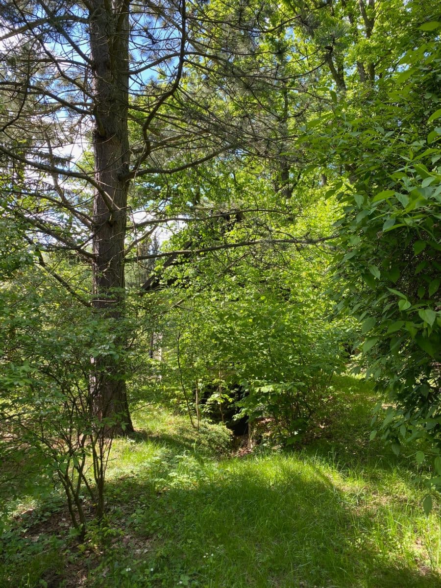 recreational property for sale, 3,618 m², Votice, Středočeský Region recreational property for sale, 3,618 m², Votice, Středočeský Region