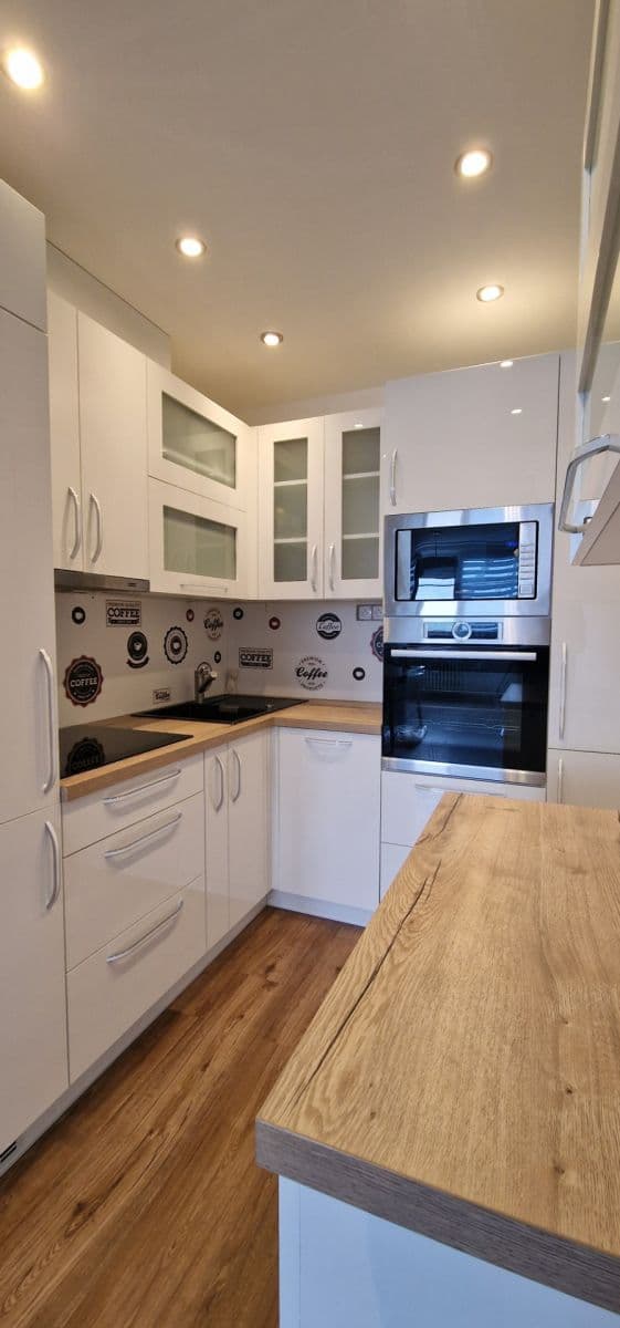 1 bedroom with open-plan kitchen flat to rent, 43 m², Modrá, Prague, Prague 1 bedroom with open-plan kitchen flat to rent, 43 m², Modrá, Prague, Prague