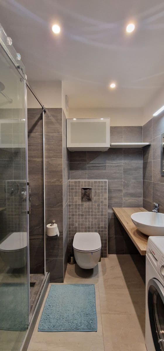 1 bedroom with open-plan kitchen flat to rent, 43 m², Modrá, Prague, Prague 1 bedroom with open-plan kitchen flat to rent, 43 m², Modrá, Prague, Prague